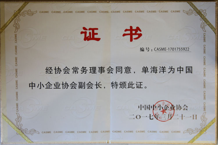 中国中小企业协会副会长荣誉证书图2