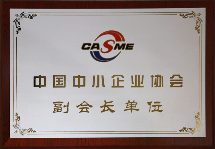 中国中小企业协会副会长荣誉证书图1